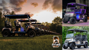 Read more about the article EPIC E40FX Golf Carts for Sale in the Central Valley